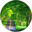 jyothi Joy profile picture